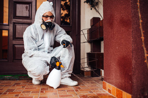 Reliable Cockroach Control contractor in Clearfield, PA by Nex Pest Control